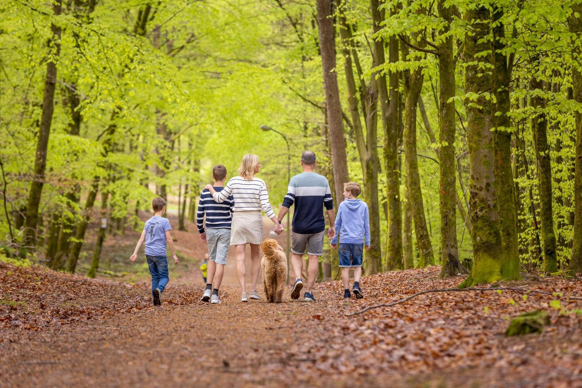 Ardennen Camping แบร์ทริกซ์ ภายนอก รูปภาพ